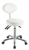 Rolling Stool with Back Support for Office or Home- Silver Fox 1025C