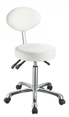 Rolling Stool with Back Support for Office or Home- Silver Fox 1025C